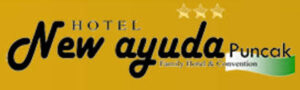 Logo Hotel New Ayuda 2