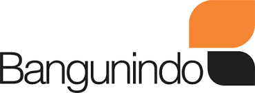 Logo PT Bangunindo Teknusa Jaya